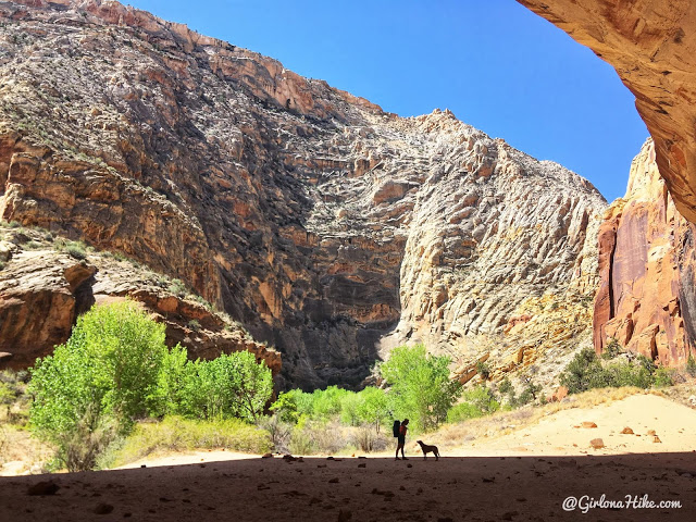 is grand staircase escalante dog friendly