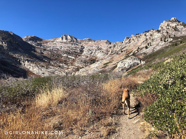 Hiking to Smith Lake via Angel Lake Trail, Nevada