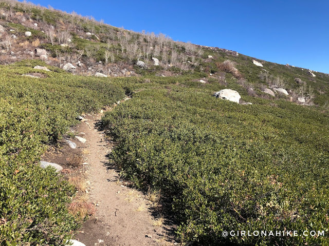 Hiking to Smith Lake via Angel Lake Trail, Nevada