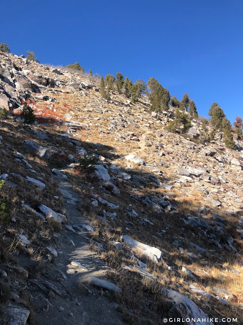 Hiking to Smith Lake via Angel Lake Trail, Nevada