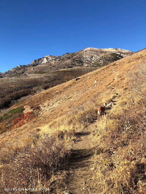 Hiking to Winchell Lake, Nevada