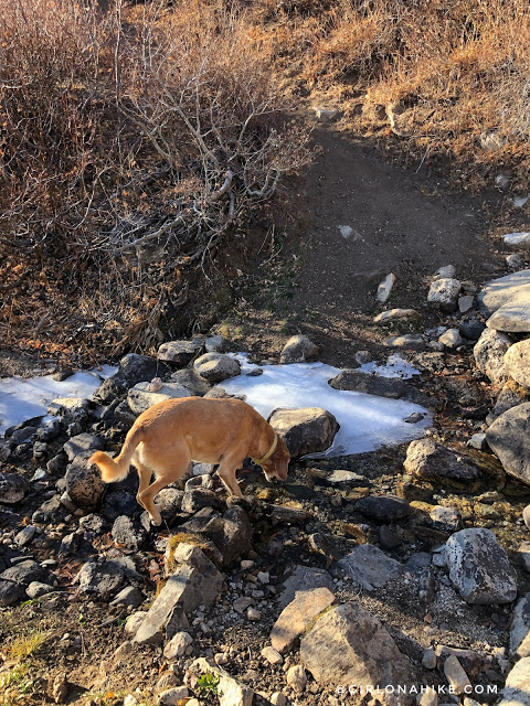 Hiking to Winchell Lake, Nevada