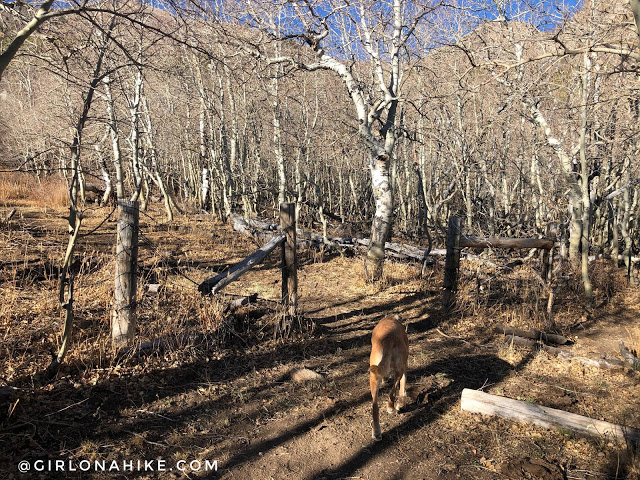 Hiking to Winchell Lake, Nevada