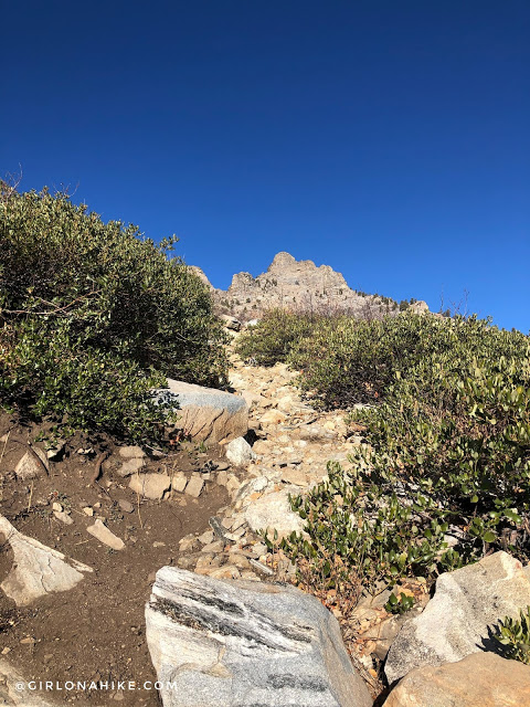 Hiking to Winchell Lake, Nevada