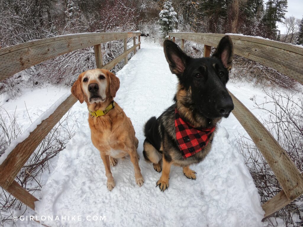 Hiking Icebox Canyon via Wheeler Creek