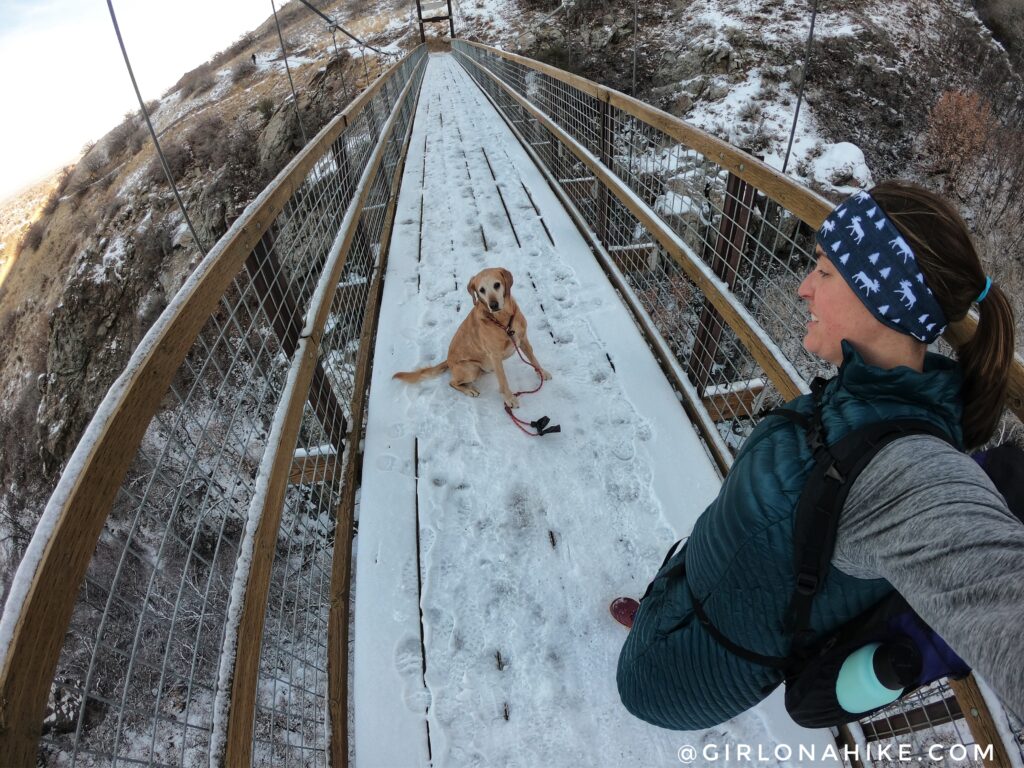 Hike to the Bear Canyon Suspension Bridge, Draper, UT