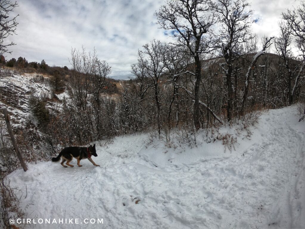 Hiking Icebox Canyon via Wheeler Creek