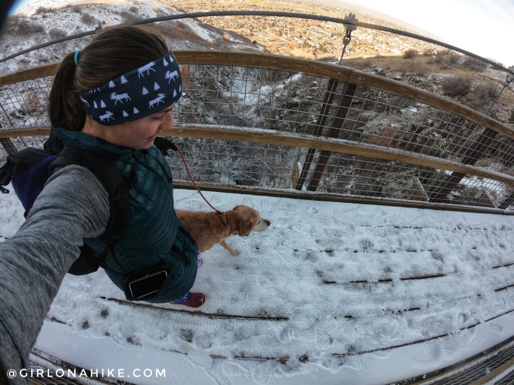 Hike to the Bear Canyon Suspension Bridge, Draper, UT