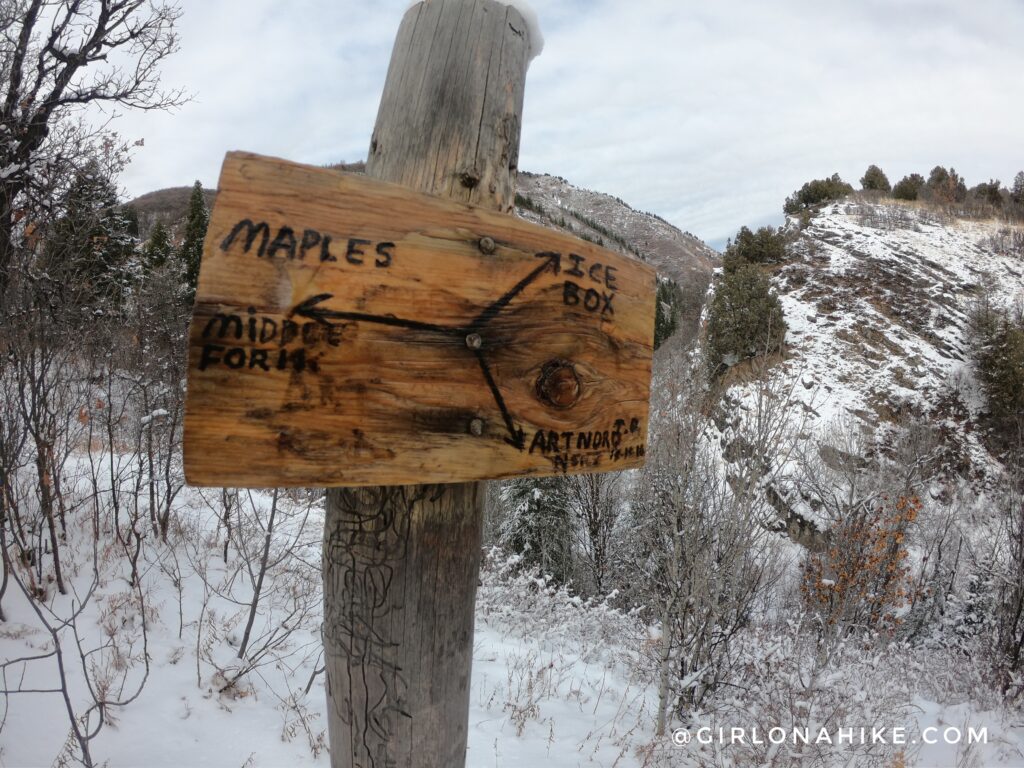 Hiking Icebox Canyon via Wheeler Creek