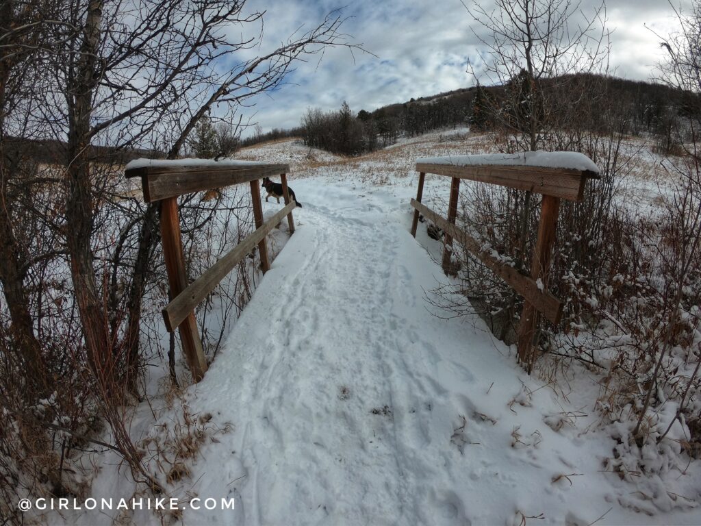 Hiking Icebox Canyon via Wheeler Creek