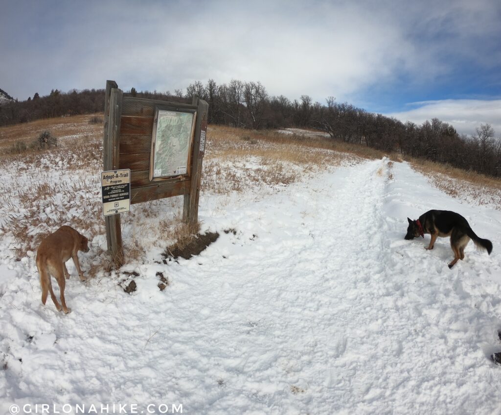 Hiking Icebox Canyon via Wheeler Creek