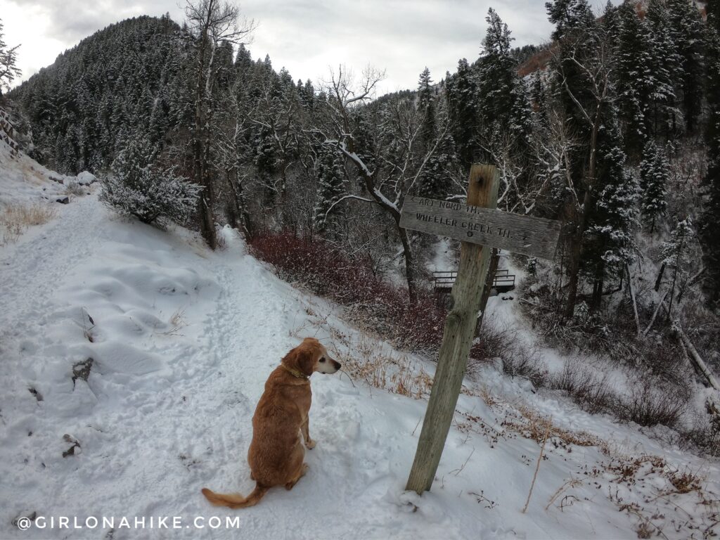 Hiking Icebox Canyon via Wheeler Creek