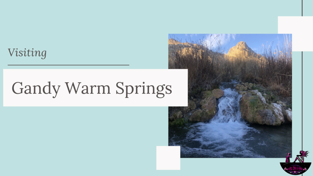 Visiting Gandy Warm Springs, Utah