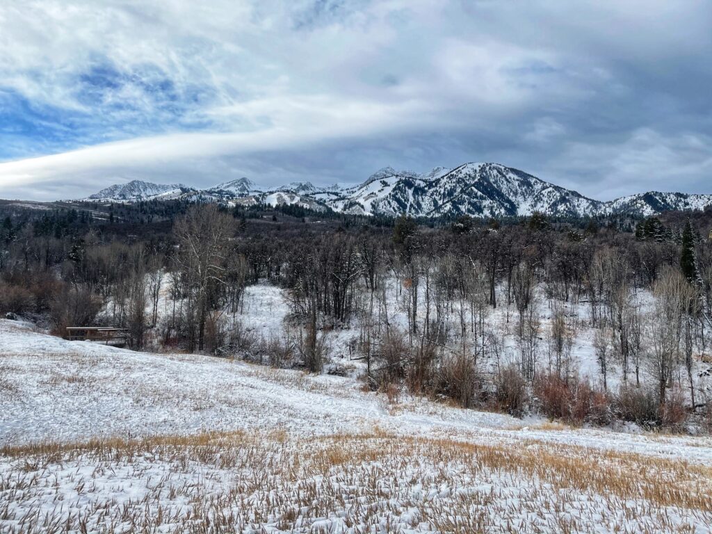 Hiking Icebox Canyon via Wheeler Creek