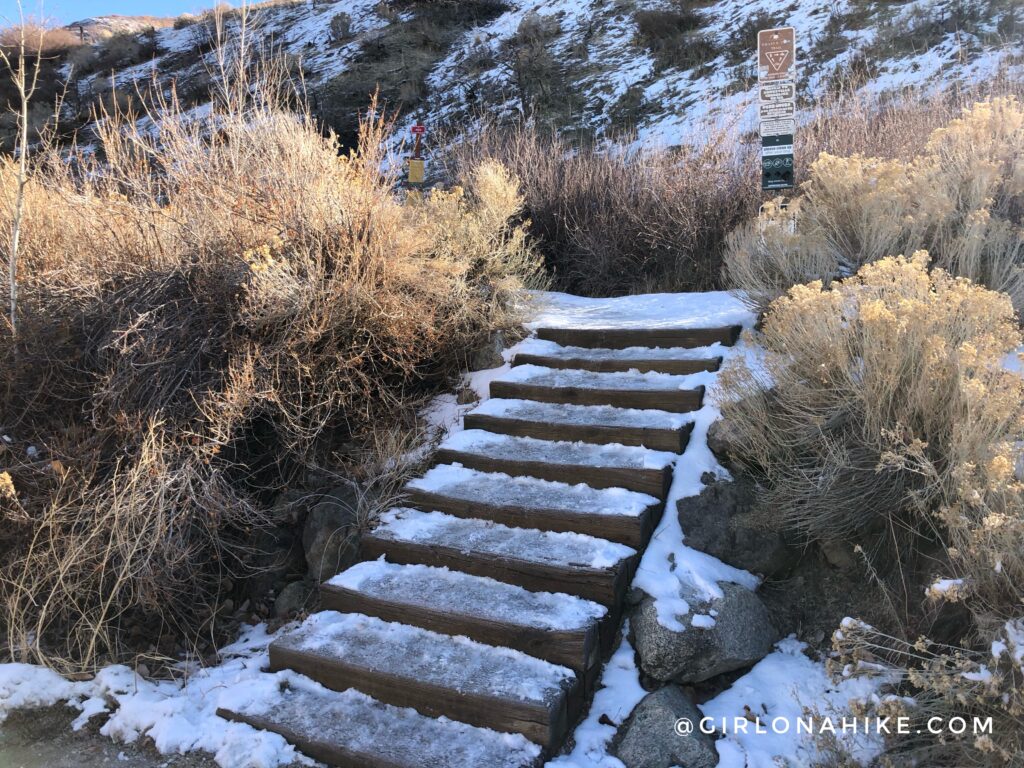 Hike to the Bear Canyon Suspension Bridge, Draper, UT