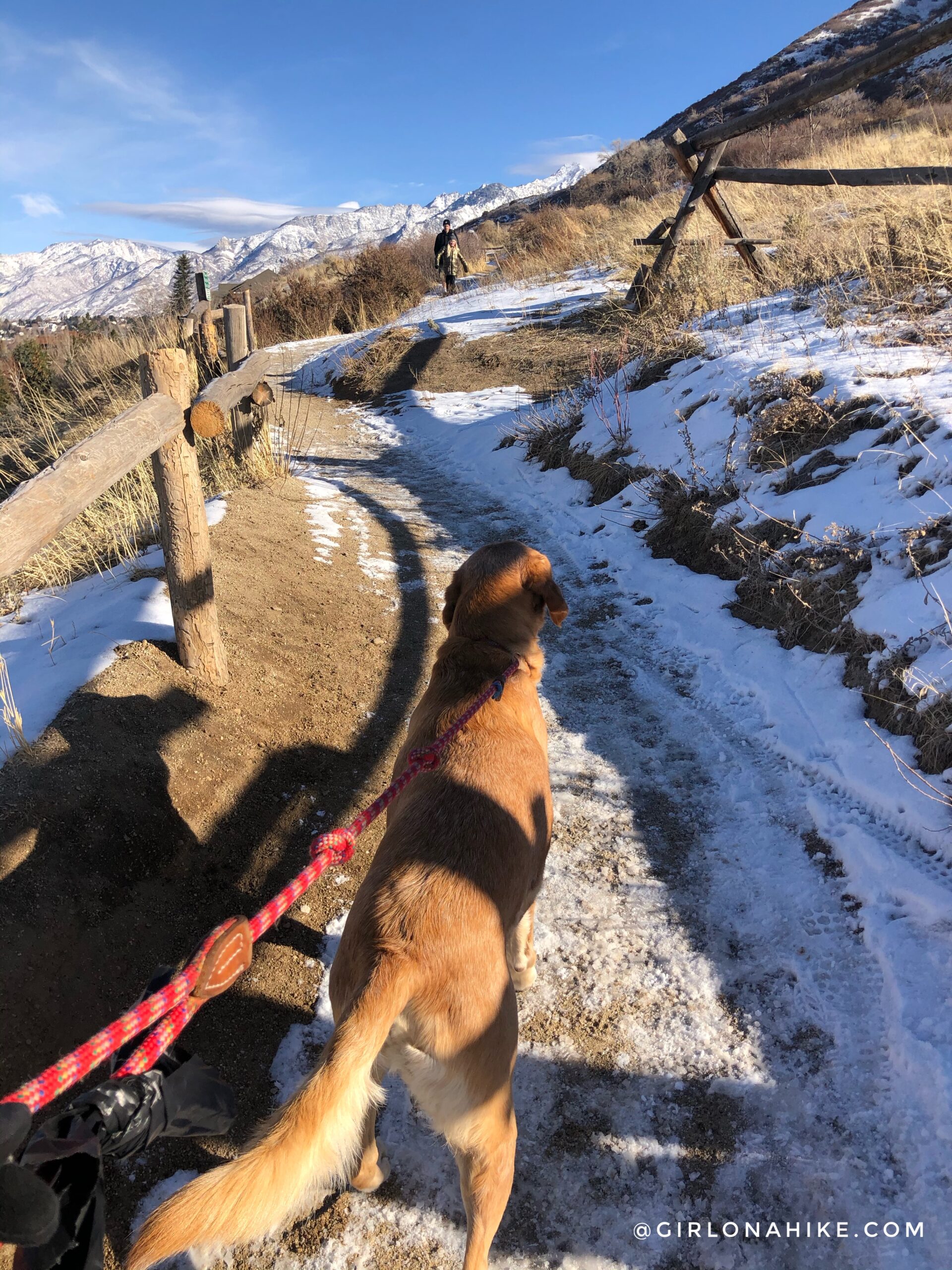 Hike to the Bear Canyon Suspension Bridge, Draper, UT