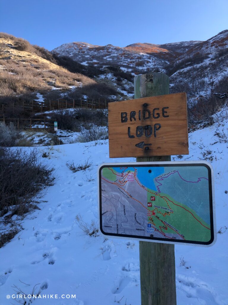 Hike to the Bear Canyon Suspension Bridge, Draper, UT