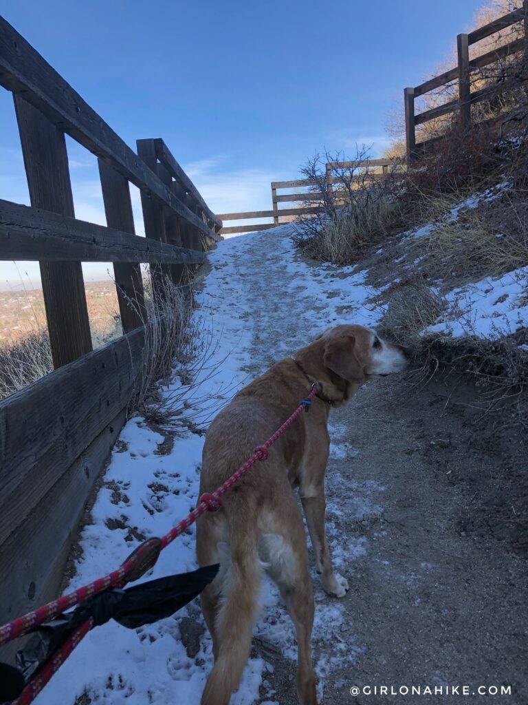 Hike to the Bear Canyon Suspension Bridge, Draper, UT