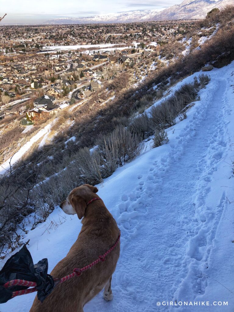 Hike to the Bear Canyon Suspension Bridge, Draper, UT