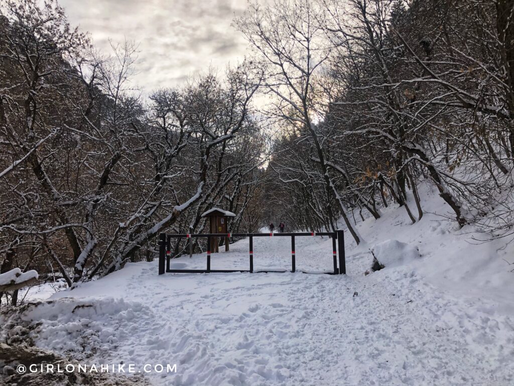 Hiking Icebox Canyon via Wheeler Creek