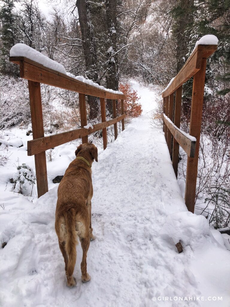 Hiking Icebox Canyon via Wheeler Creek