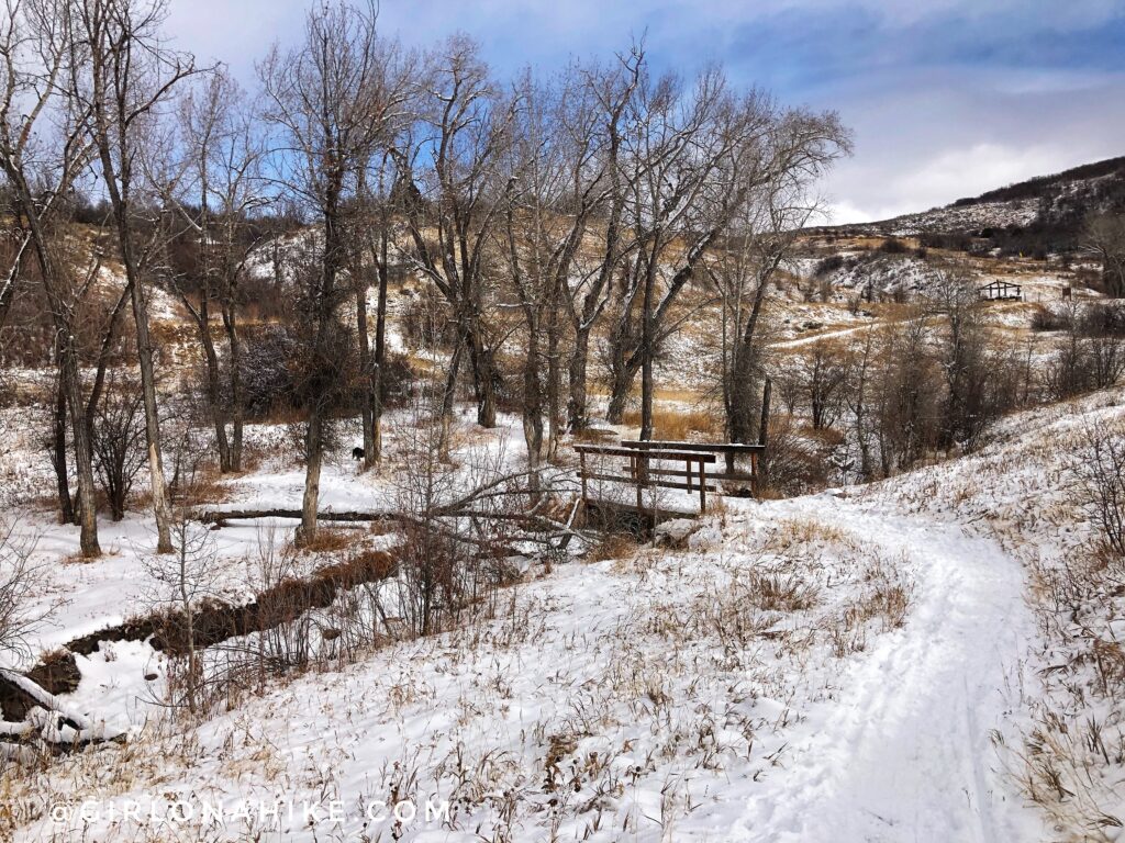 Hiking Icebox Canyon via Wheeler Creek