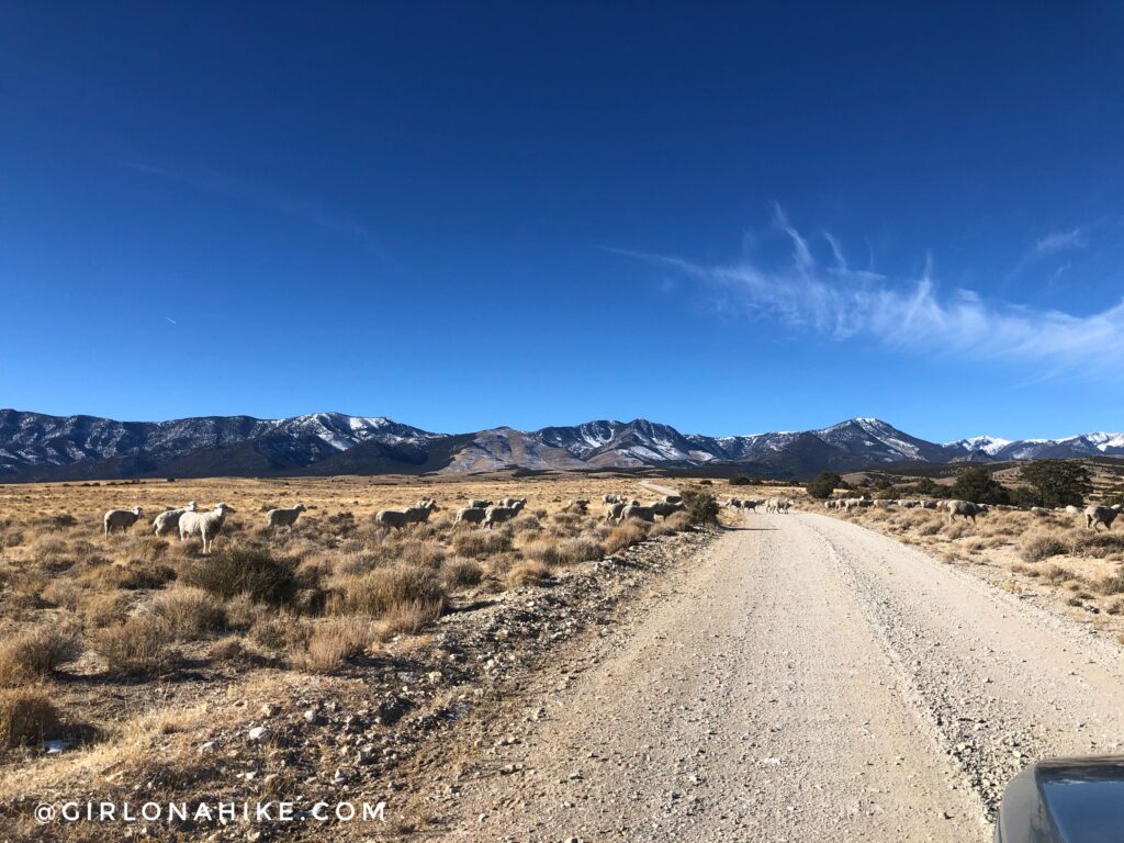 Hike to Lexington Arch, Nevada