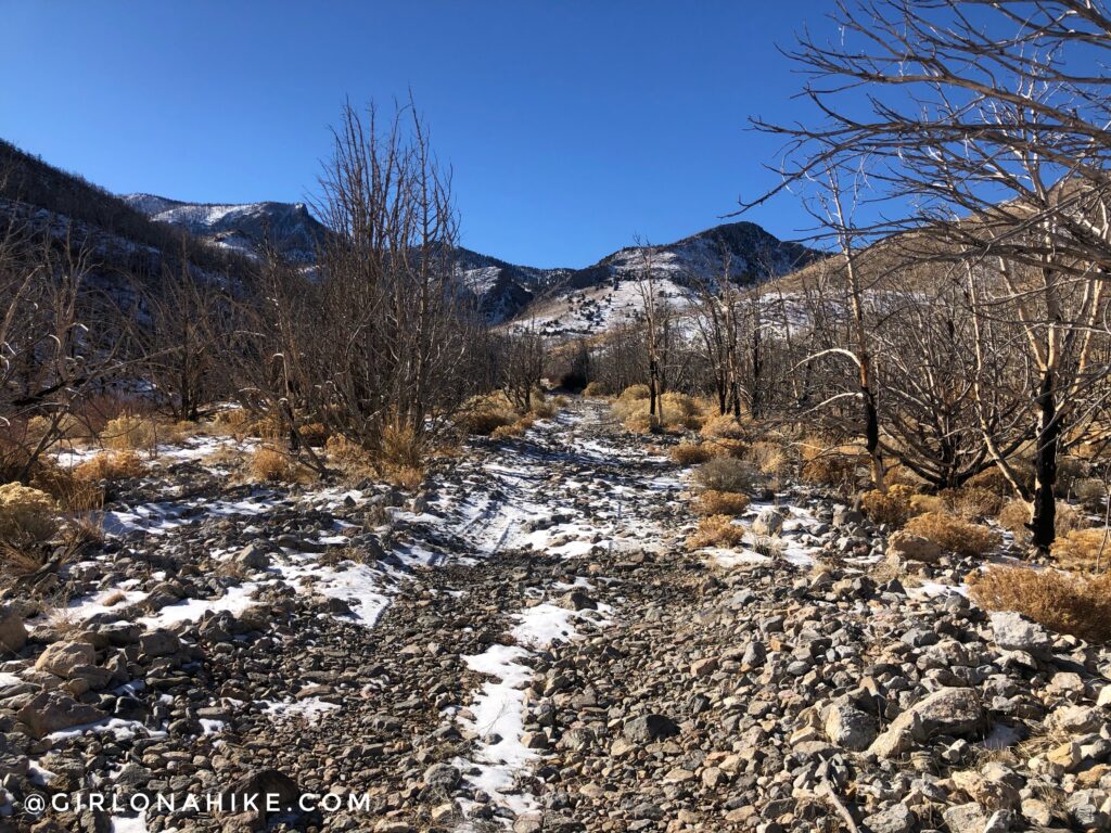 Hike to Lexington Arch, Nevada