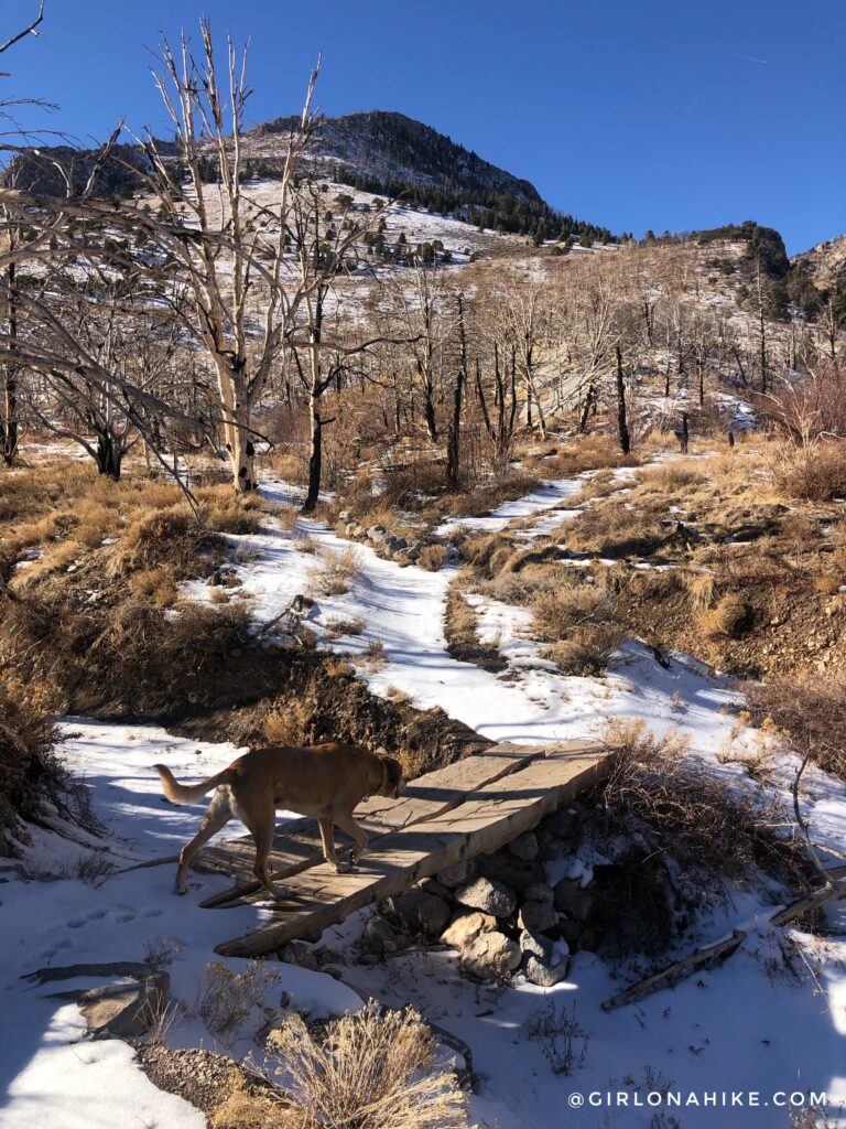 Hike to Lexington Arch, Nevada