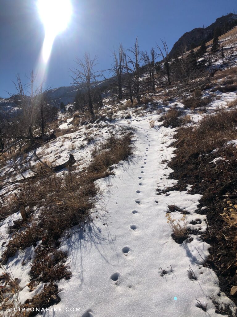 Hike to Lexington Arch, Nevada