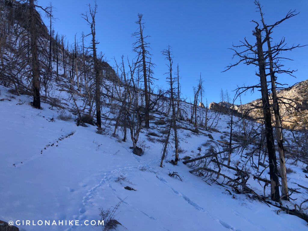 Hike to Lexington Arch, Nevada