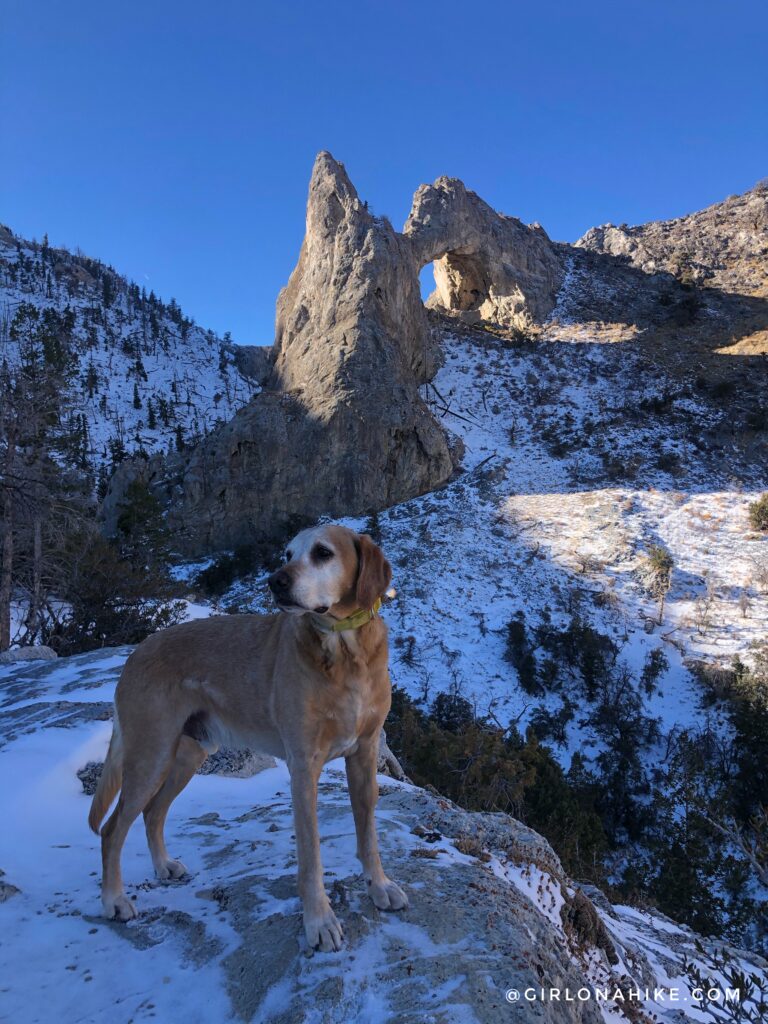 Hike to Lexington Arch, Nevada