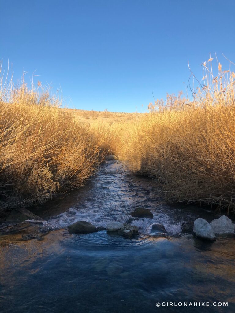 Visiting Gandy Warm Springs, Utah