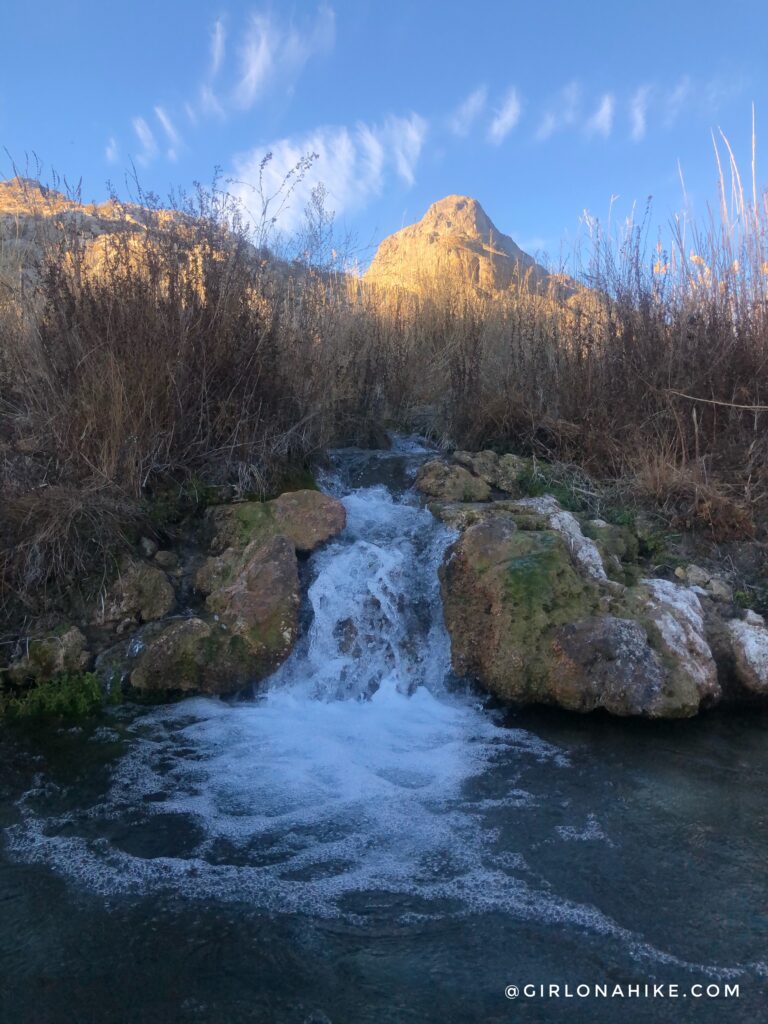 Visiting Gandy Warm Springs, Utah