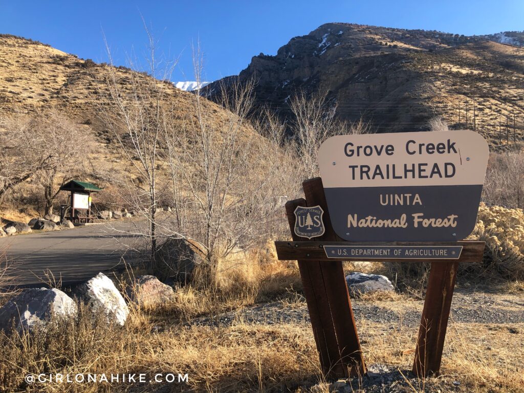 Hiking Grove Creek Canyon