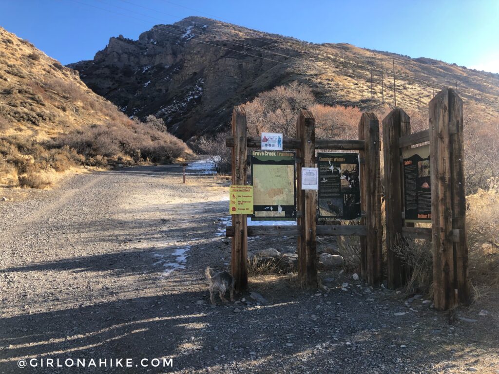 Hiking Grove Creek Canyon