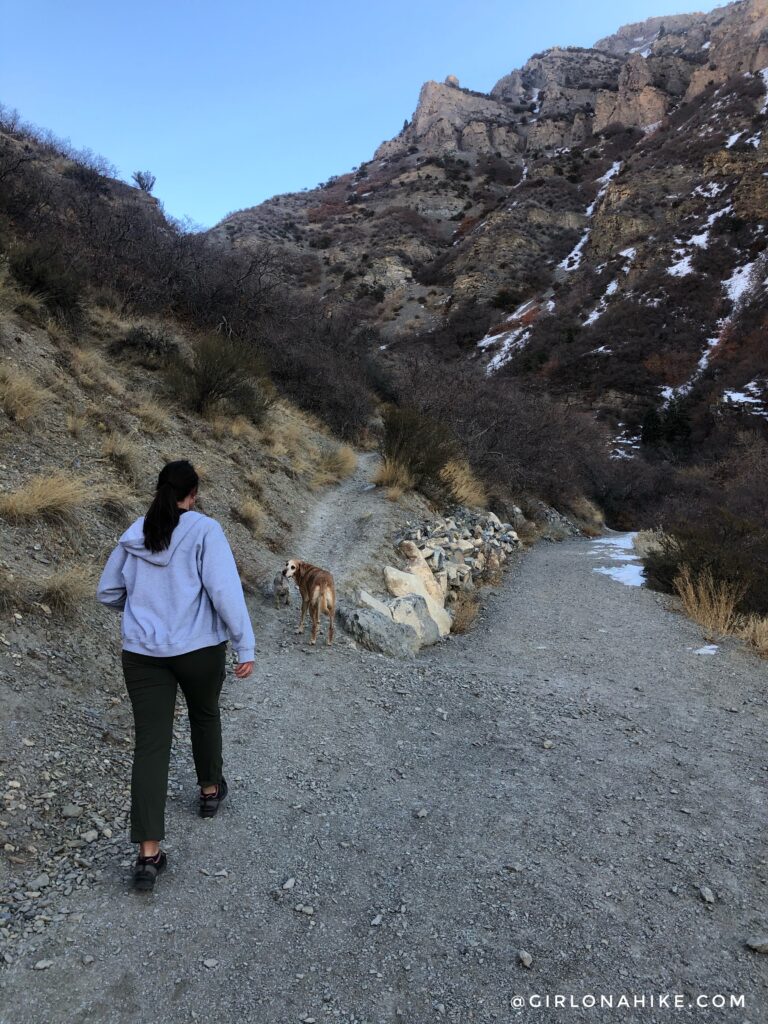 Hiking Grove Creek Canyon