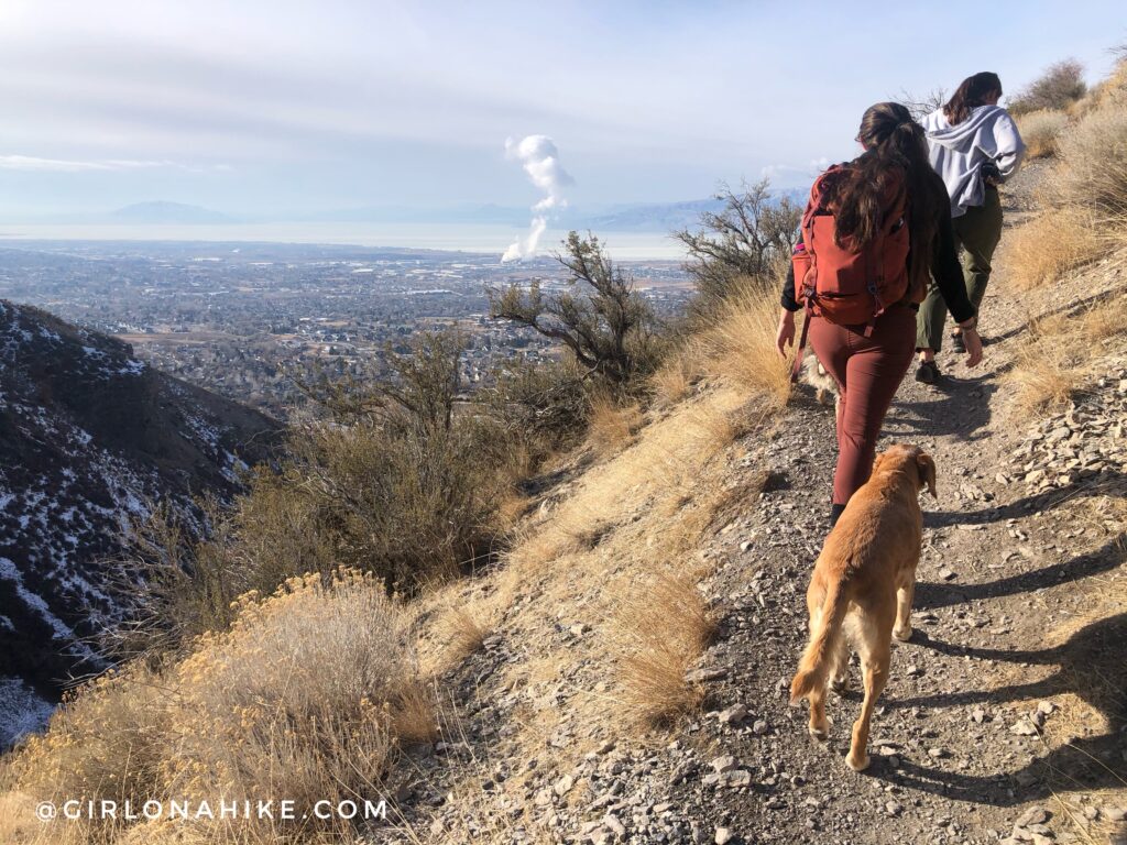 Hiking Grove Creek Canyon