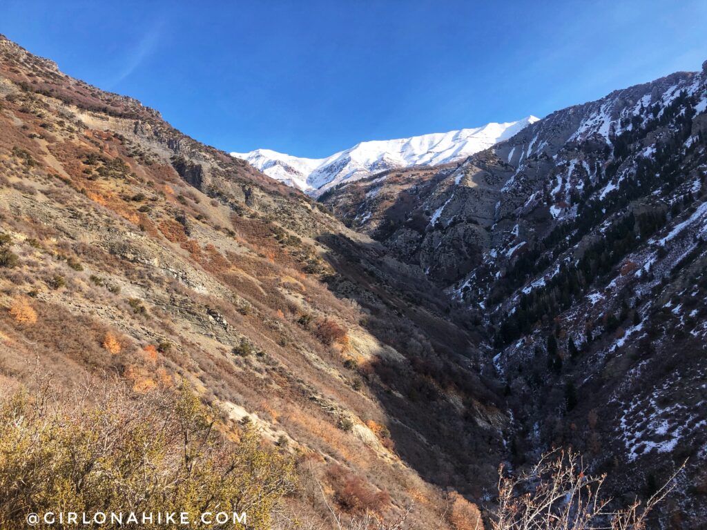 Hiking Grove Creek Canyon