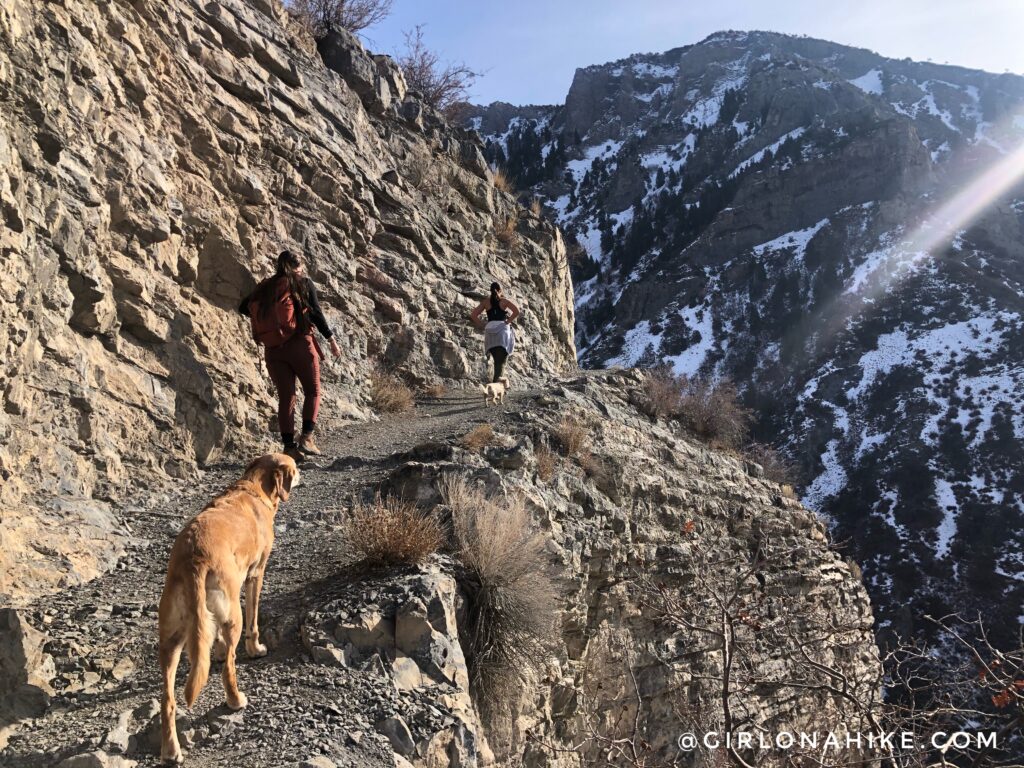 Hiking Grove Creek Canyon