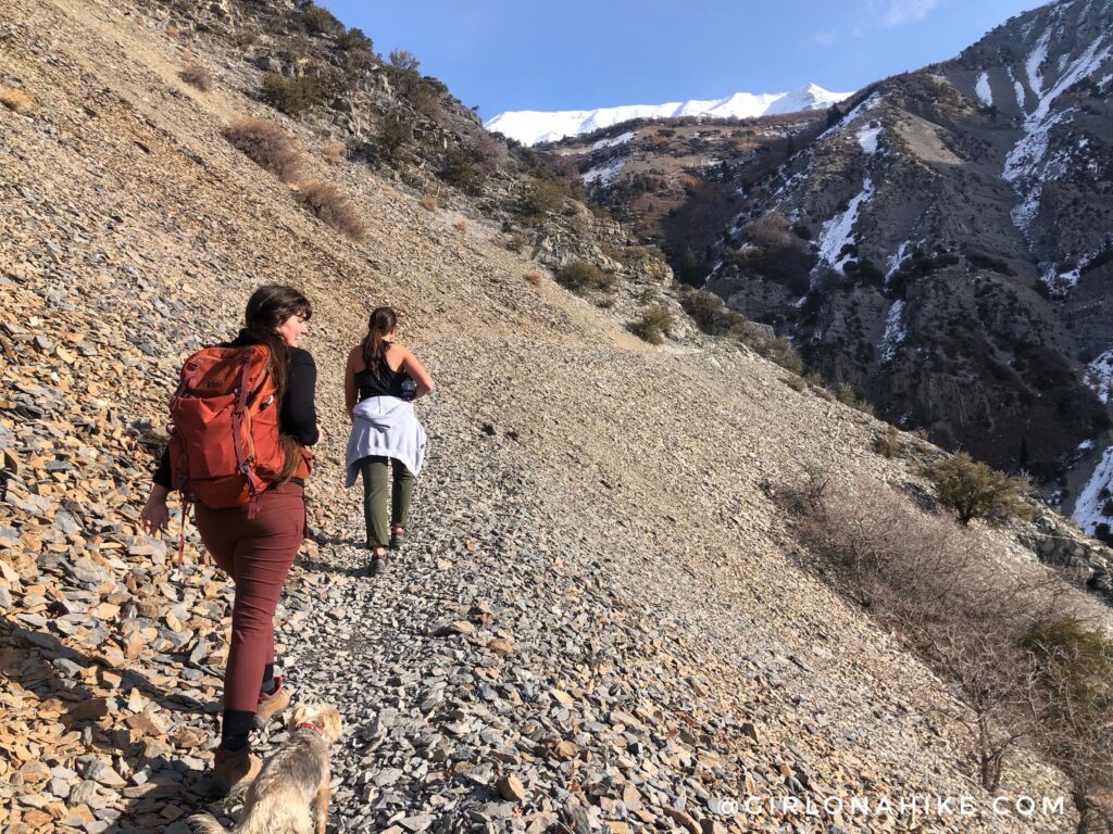 Hiking Grove Creek Canyon