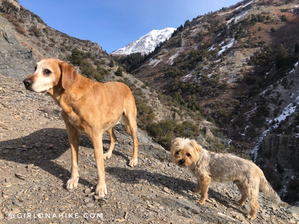 Hiking Grove Creek Canyon