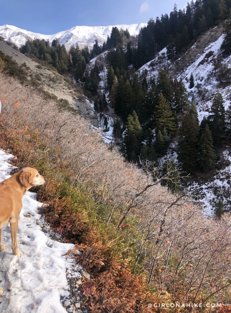 Hiking Grove Creek Canyon