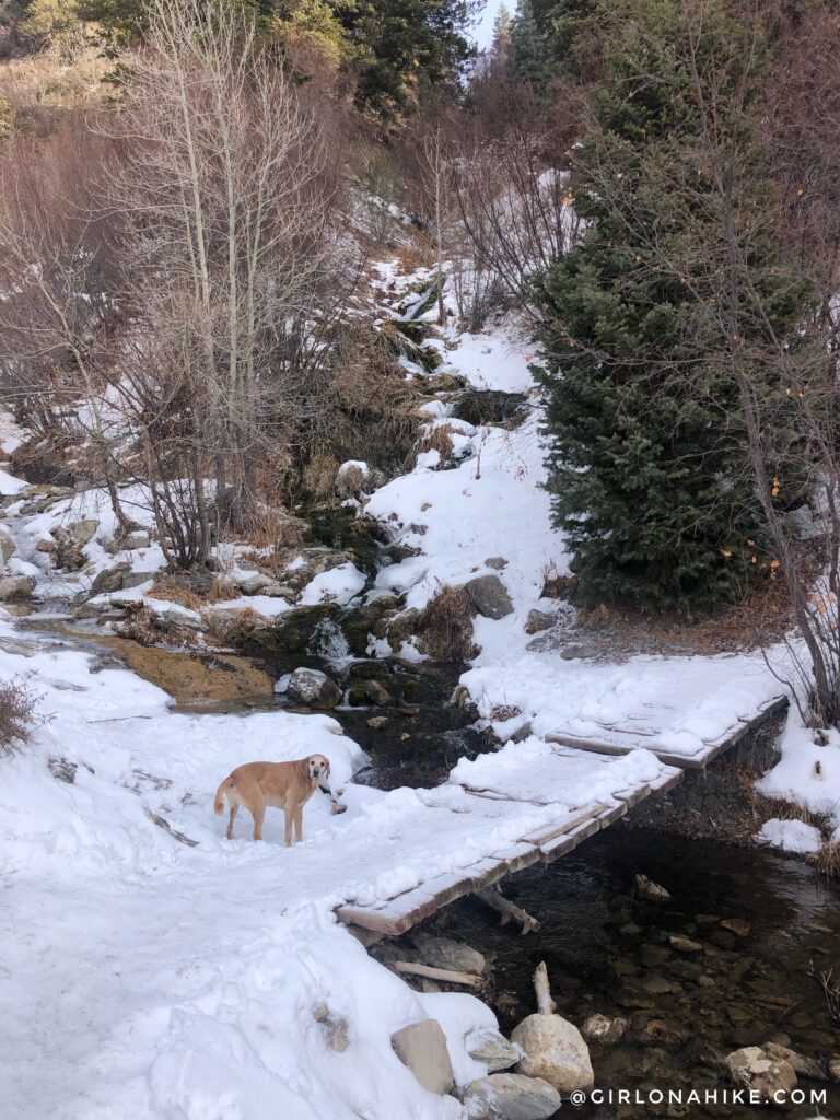 Hiking Grove Creek Canyon