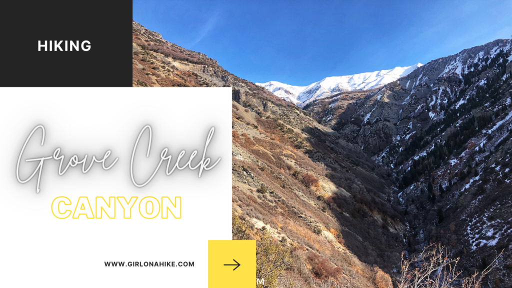 Hiking Grove Creek Canyon