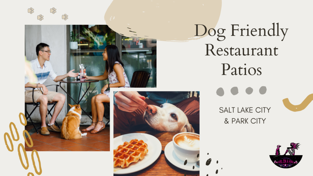 Dog Friendly Patio's in Salt Lake City