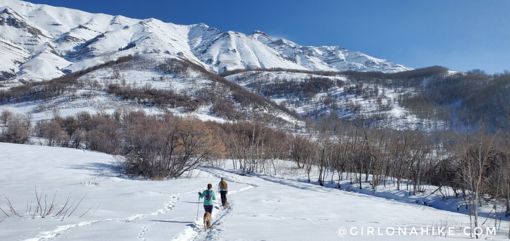 Hiking Grove Creek Canyon