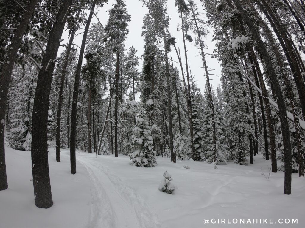 Lodging at the Yur-Treat in Idaho + Backcountry Skiing!