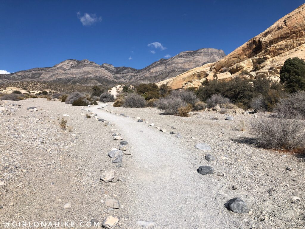 Hiking to Turtlehead Peak, Red Rock Canyon National Conservation Area