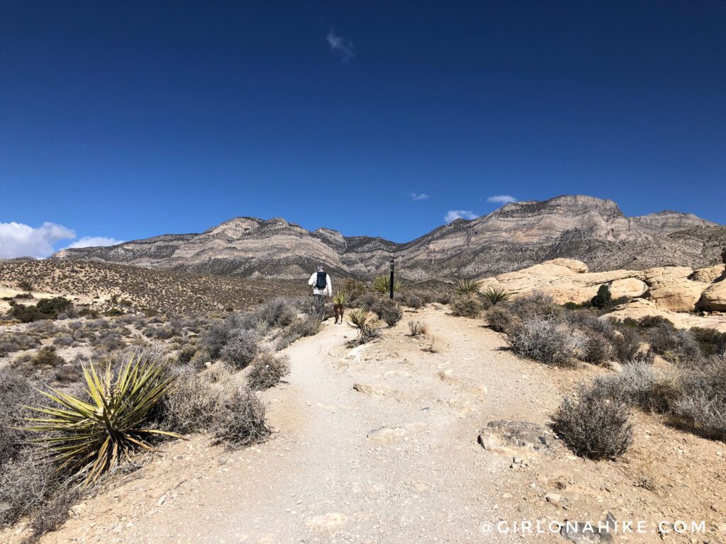 Hiking to Turtlehead Peak, Red Rock Canyon National Conservation Area